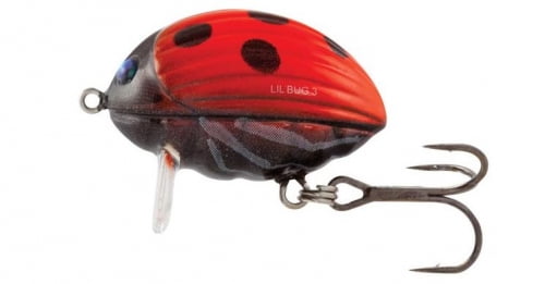 ladybird double stroller