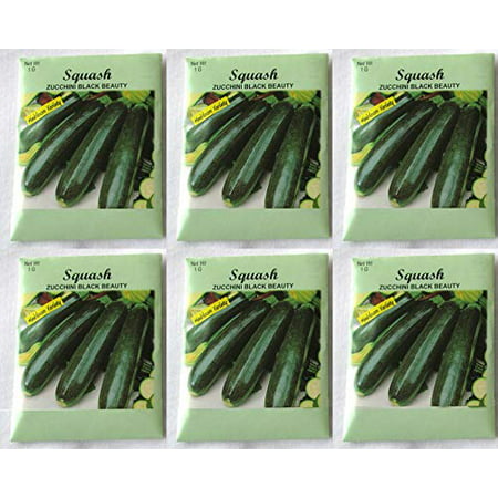Valley Greene (6 Pack) 1 gram/Package Squash Zucchini Black Beauty Heirloom Variety