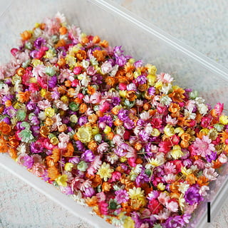 DIY Dried Flowers Resin Mold Fillings UV Expoxy Flower for Nail
