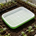 thumbnail image 4 of BotaniNest Sprout Germination Tray Hydroponic Growing For Wheatgrass Soilless Vegetable Planter, 4 of 6