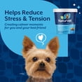 thumbnail image 6 of NaturVet Quiet Moments Calming Supplement, Bacon and Chicken Flavor, 70 Soft Chews, 6 of 10