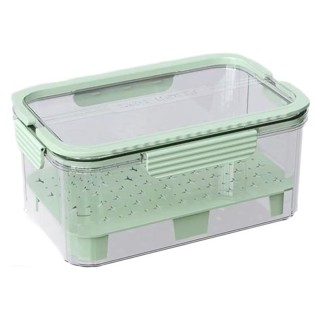 Food Storage 2 Large Capacity Portable Sealed Rectangular Bento for Outdoor School Lunches Fruit & Food Organization Transparent Design Hassle-Free Storage Solution