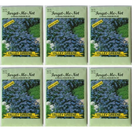Valley Greene (6 Pack) Heirloom Variety Cynoglossum Blue Forget-Me-Not Flower Seeds 225 mg/package Non GE Seeds
