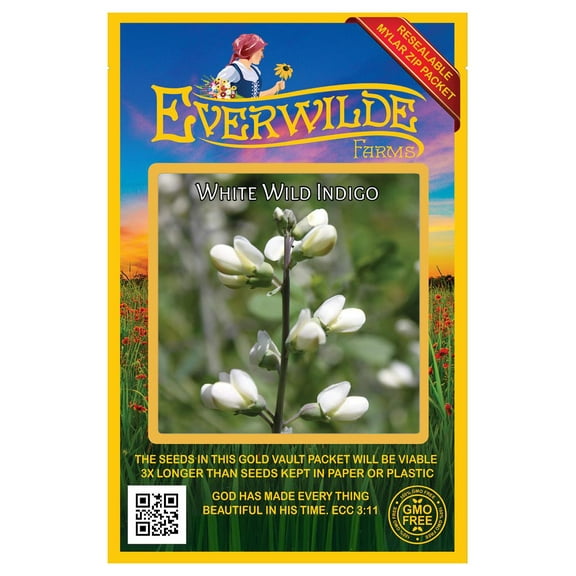 Everwilde Farms - 75 White Wild Indigo Native Wildflower Seeds - Gold Vault Jumbo Bulk Seed Packet