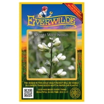 Everwilde Farms - 75 White Wild Indigo Native Wildflower Seeds - Gold Vault Jumbo Bulk Seed Packet