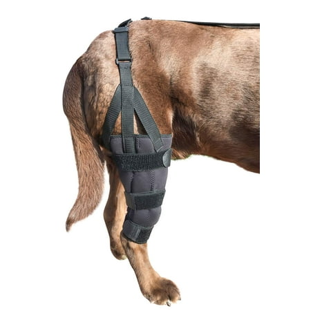 UPC: 0045923798740 | Dog Canine K9 Knee Stifle Brace Wrap Metal Hinged Support Not Applicable