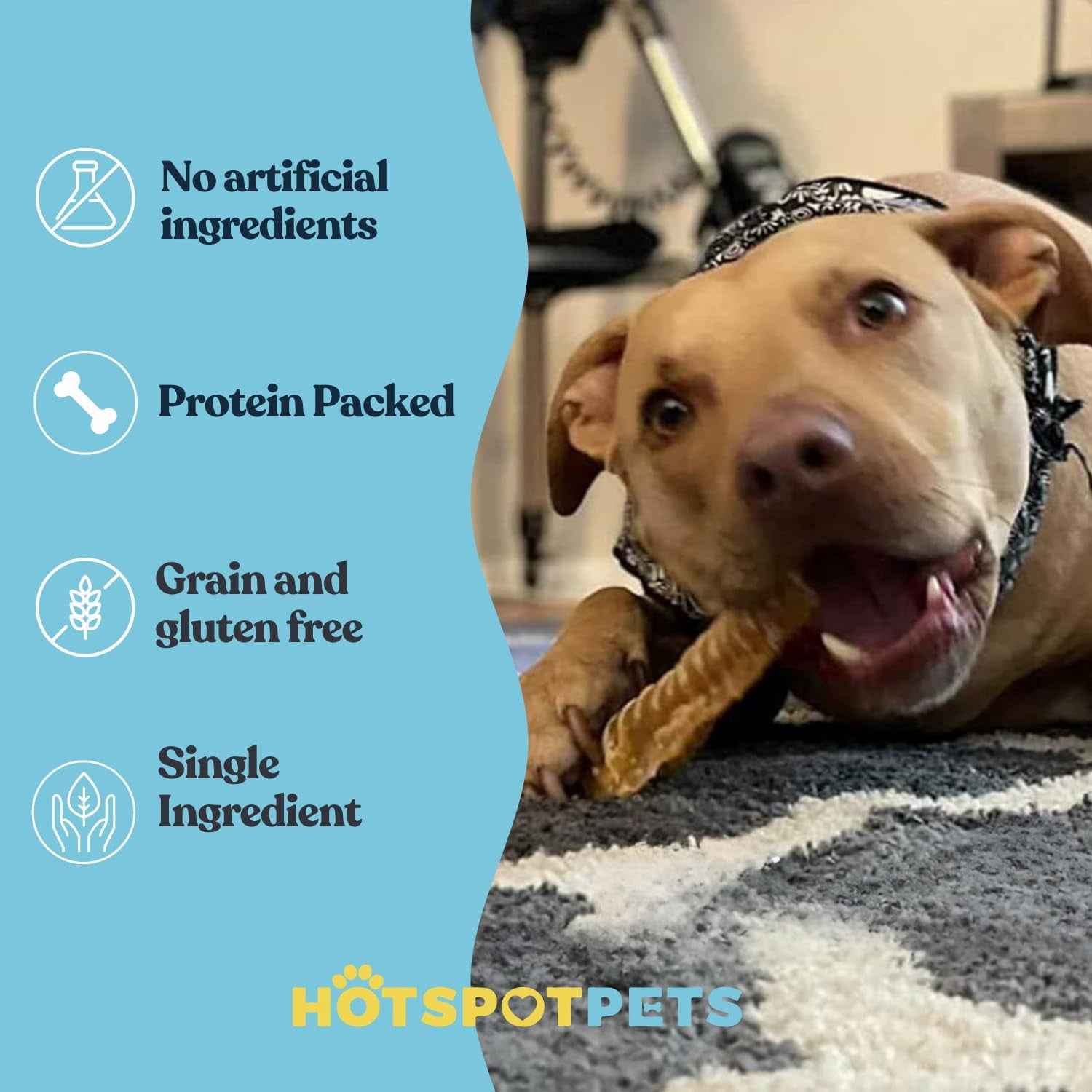 HotSpot Pets Chicken Free Dental Glucosamine Chondroitin Protein Dog Chews, 20 Pack