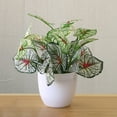thumbnail image 4 of Flmtop Fresh Artificial Foliage Plant Pot Bonsai Party Mall Home Desktop Office Decor, 4 of 8