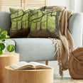 thumbnail image 5 of Ambesonne Forest Throw Pillow Cover 2 Pack, Woodland Natural Beauty, 18", Green Brown, 5 of 7