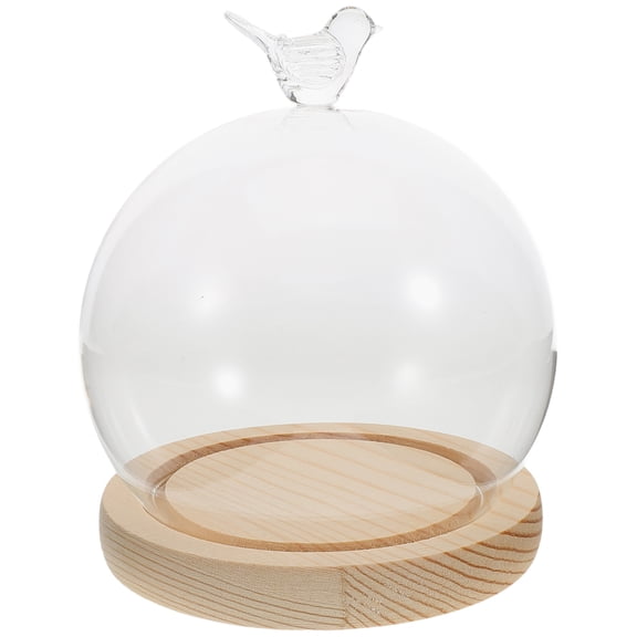 unbranded Display Cloche Dome Clear Glass Cloches for Decor Humidity Domes Plants Case