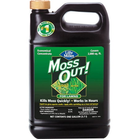 Lilly Miller Moss Out! Economical Concentrate for Lawns Moss Killer, 1