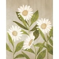 thumbnail image 2 of Allen, Kimberly 20x24 White Modern Wood Framed Museum Art Print Titled - Daisies 1, 2 of 4