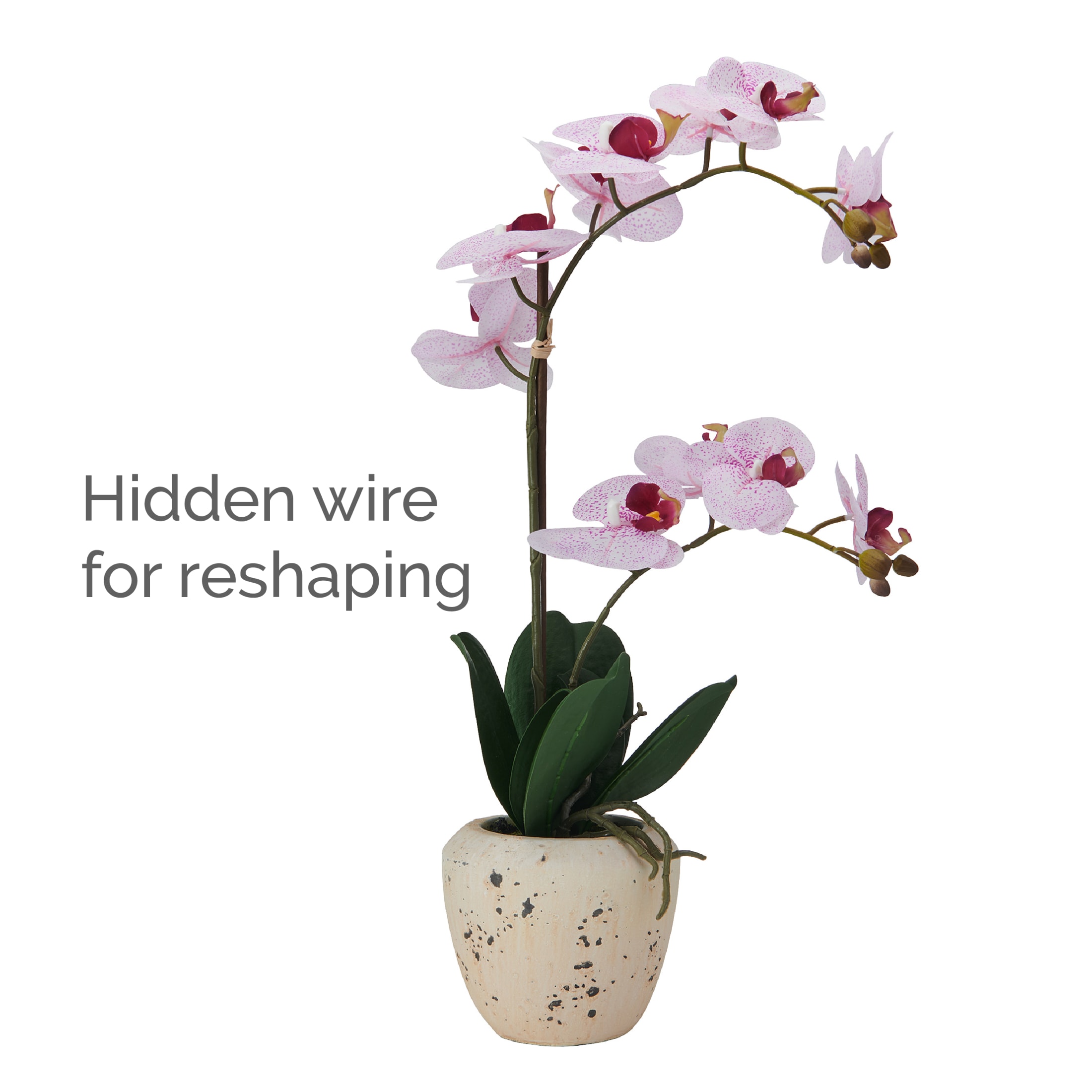 Home Accents 22-inch Artificial Real Touch Phalaenopsis Orchid in Cement Pot, Pink