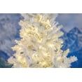 thumbnail image 6 of Novelty Lights 50 Light Warm White LED Christmas Mini Light Set (White Wire, 11 feet), 6 of 6