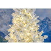 Novelty Lights Warm White 100 LED Christmas Mini Light Set (white Wire, 34 Feet)