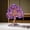 Amethyst, variant on Yihuala Elegant Crystal Lucky Tree Decoration to Attract Wealth and Positive Energy for Desks and Living Room