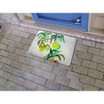 thumbnail image 2 of Betsy Drake DM1104 18 x 26 in. Mangos Door Mat, 2 of 2