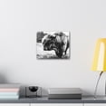thumbnail image 4 of HIghland Bull Canvas Stretched, 0.75", 4 of 4