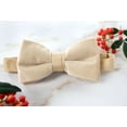 thumbnail image 2 of Spring Notion Men's Pretied Velvet Bow Tie, 2 of 3