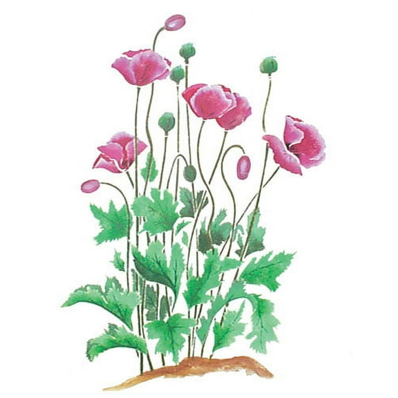 Poppies Wall Stencil - DEE605 by DeeSigns