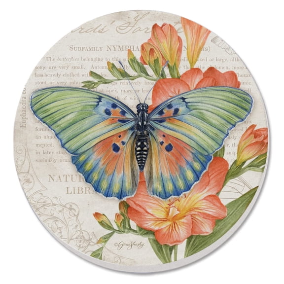 Thirstystone Edwards Forester Butterfly Single Round Stone Coaster Create Your Own Set