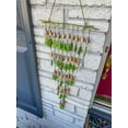 thumbnail image 3 of Shimmering Bells with Small Leaves, 3 of 6