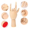thumbnail image 3 of Modelo de Mano de Madera IHDYPPEW Paquete de 4 Unidades Flexible 30 cm, 3 of 7