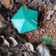 thumbnail image 5 of Fiudx Jaula para Babosas de Cerveza, Material Plástico Seguro, Diseño No Tóxico, Trampa para Caracoles Fácil de Usar, Solución Sin Químicos, Protección para El Jardín, Ideal para Plantas, Tamaño 13 X, 5 of 7