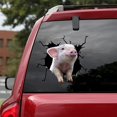thumbnail image 2 of 3D Piggy Wall Stickers, Creative Window Static Stickers, Self-adhesive Wall Art Decorations, 2 of 5