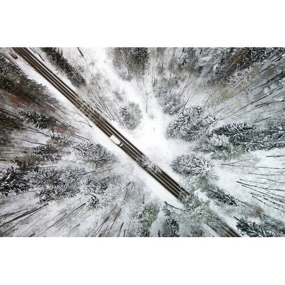 Marmont Hill "Icy Forest" by Karolis Janulis Painting Print on Wrapped Canvas