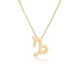 thumbnail image 4 of Minnieouse Collar del zodiaco Regalo de amigos Ajustable Cómodo Ins Personalidad Superficie lisa Accesorio de moda Capricornio dorado oro capricornio 5piezas Minnieouse CBP198494, 4 of 5