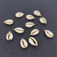 thumbnail image 4 of Charm INSPIRELLE 12 unidades de conchas marinas naturales doradas de 1,8 a 2,2 cm, 4 of 7