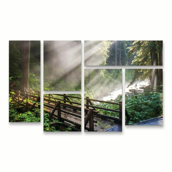 Trademark Fine Art 'Forest Sunlight' Canvas Art by Pierre Leclerc
