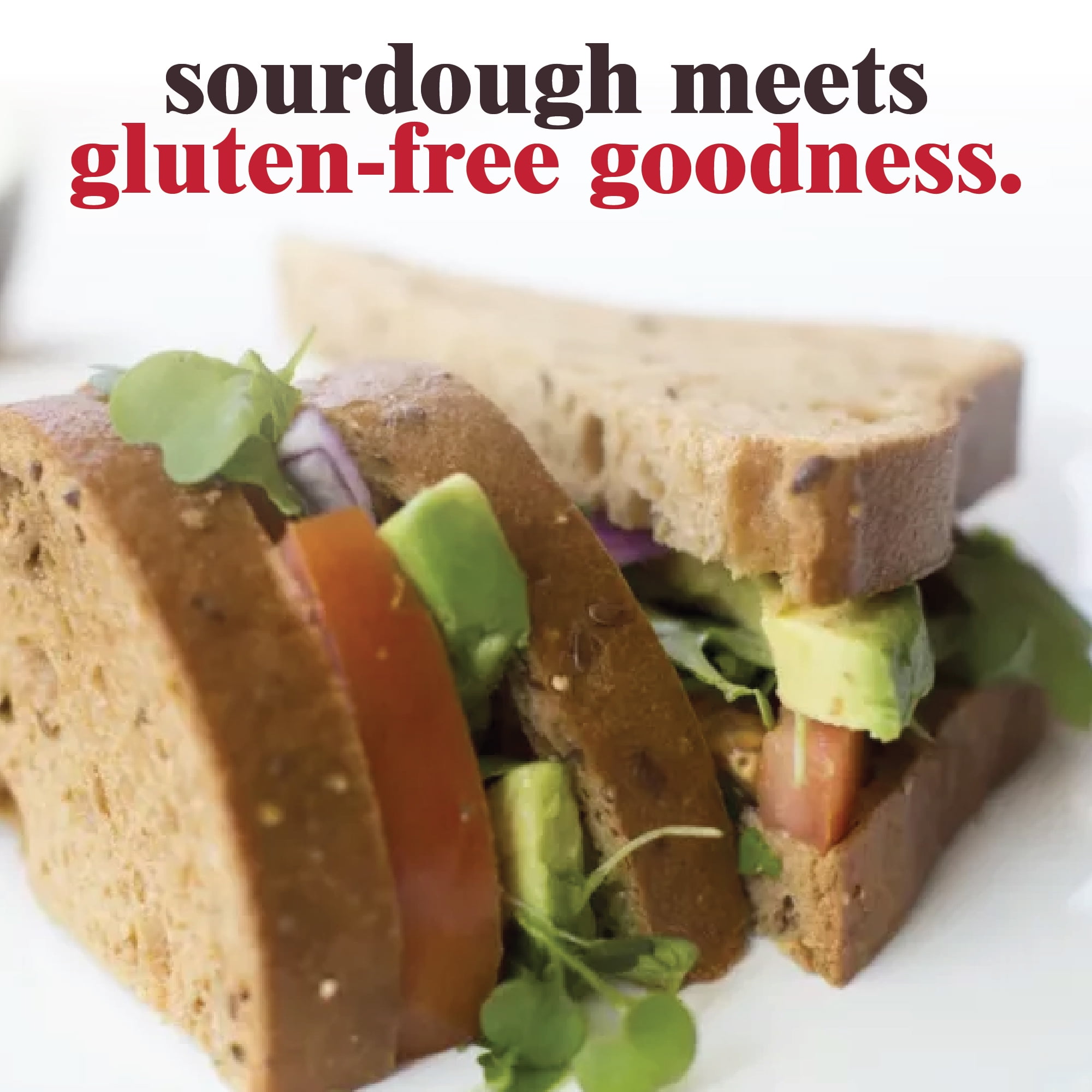 (4 pack) Schar Gluten Free Deli Style Sourdough Bread, Regular, Shelf-Stable, 8.5 oz