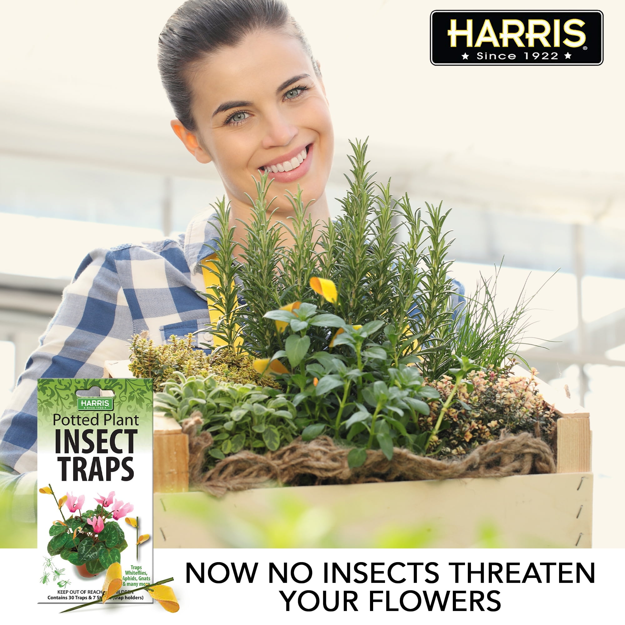 Harris Potted Plant Insect Traps for Gnats, Aphids, Whiteflies and