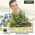PF Harris Potted Plant Insect Traps for Gnats, Aphids, Whiteflies and