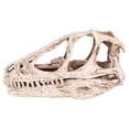 thumbnail image 1 of Resina calavera decoración dilophosaurus dinosaurio estatua imitación artesanía figurillas escritorio cabina mesa top escultura decorativa regalo antiguo Inevent HA011091-00B, 1 of 7