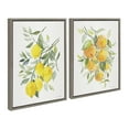 thumbnail image 2 of Kate and Laurel Sylvie Orange Citrus and Lemon Citrus Framed Canvas Wall Art Set by Patricia Shaw, 2 Piece 18x24 Gray, Colorful Soft Fruit Plant Art for Wall, 2 of 6