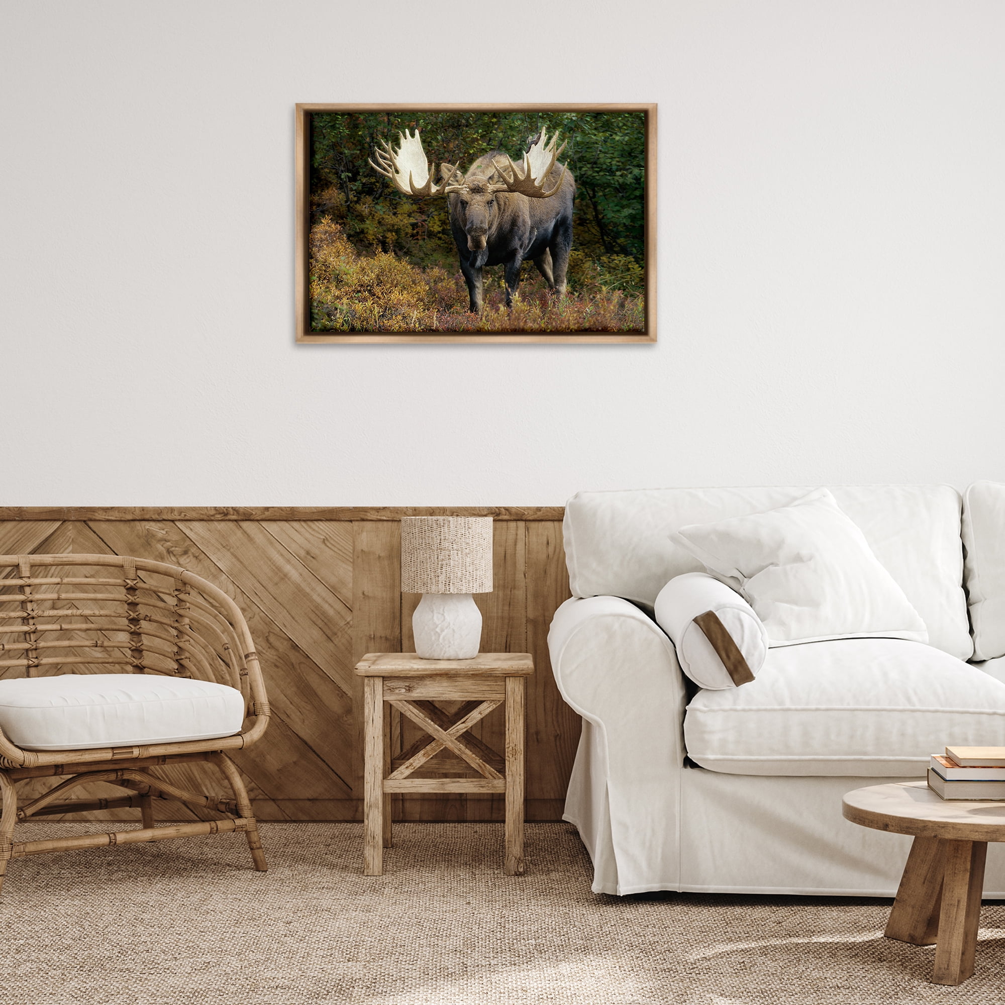 Stupell Industries Bull Moose Face Off Animals Photography Brown Floater Framed Canvas Art Print Wall Art, 31 x 21