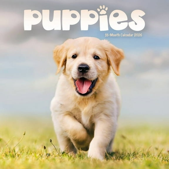2026 Puppies Mini Wall Calendar, (Paperback)