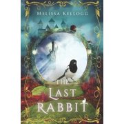 The Last Rabbit: a metaphysical fantasy novel