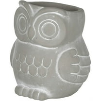 Classic Home and Garden Cement Buddies Indoor/Outdoor Planter with Drainage Hole, Owl, Small, Natural Gray, 4.5"