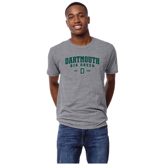Men's League Collegiate Wear Heather Gray Dartmouth Big Green Victory Falls Tri-Blend T-Shirt