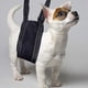 thumbnail image 5 of Large Dog Mobility Aids Support Sling For Back Legs, Hip Lifting Harness To Lift Pets Hind Front Rear (m)-mxbc, 5 of 5