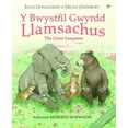 thumbnail image 1 of BWYSTFIL GWYRDD LLAMSACHUS Y, 1 of 1
