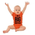 thumbnail image 3 of I Am a Big Brother Cute Siblings Bodysuit Jumper Boys Infant Baby Brisco Brands 12M, 3 of 6