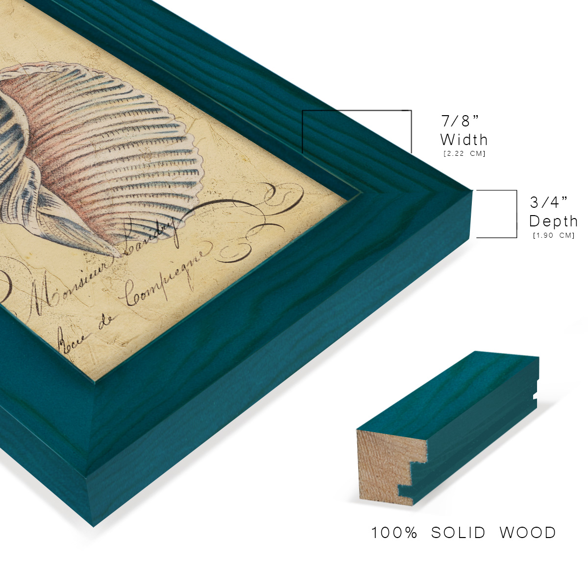 Seashell Ephemera V - Framed Print w/glass - Ocean Blue