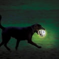 thumbnail image 7 of Pets Know Best Wobble Wag Giggle Dog Toy, White and Glow-In-The-Dark, 7 of 7