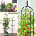 thumbnail image 5 of Esbaybulbs Garden Trellis for Climbing Plants Tower Obelisk Garden Trellis 6ft Tall Plant Support Vine Supports Plant Tower for Climbing Vines and Flowers Stands 1 Pack, 5 of 6