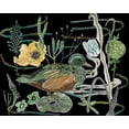 thumbnail image 2 of Wang, Melissa 14x12 Black Ornate Wood Framed with Double Matting Museum Art Print Titled - Duck in River III, 2 of 4